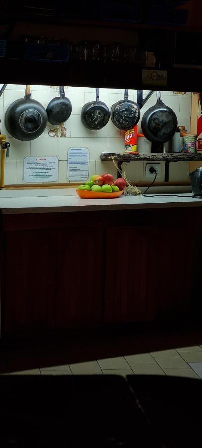 La Casa Del Arbol - Hostel El Bolsón Eksteriør billede