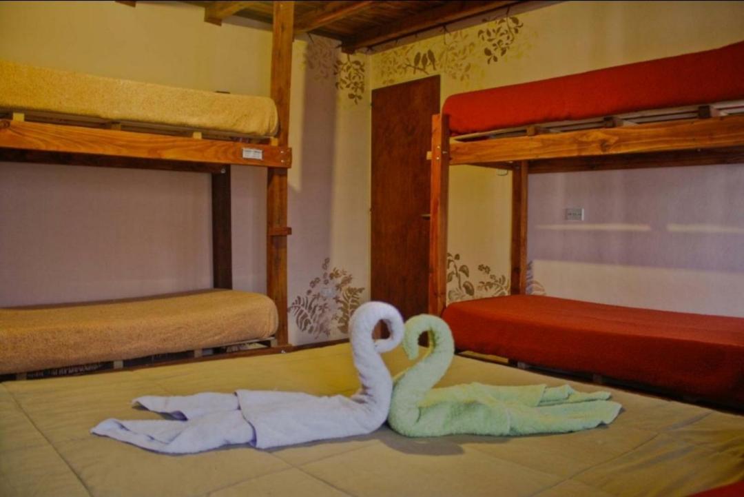 La Casa Del Arbol - Hostel El Bolsón Eksteriør billede